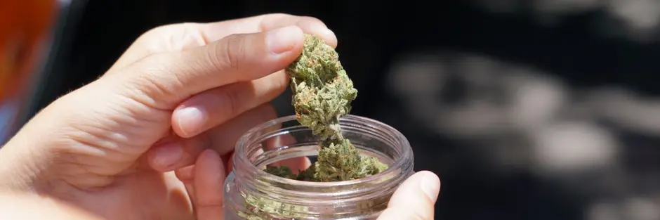 Is Cannabis Legal in Michigan Is Cannabis Legal in Michigan